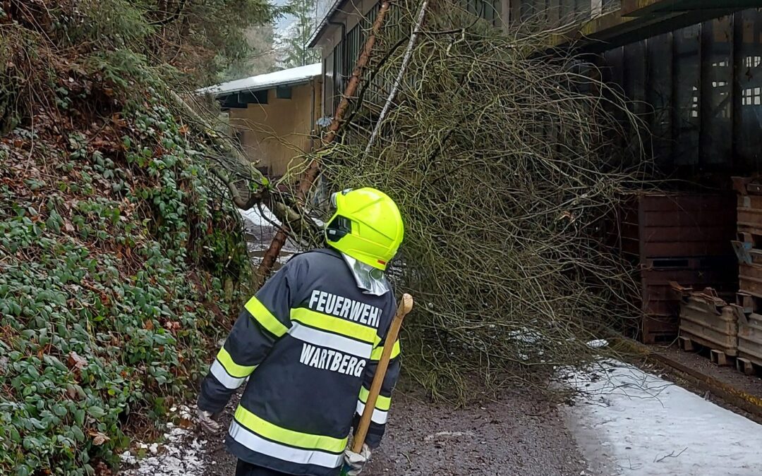 T07-Unwetter Bäume auf Werkshalle