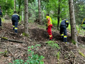 Übung Waldbrand (15)