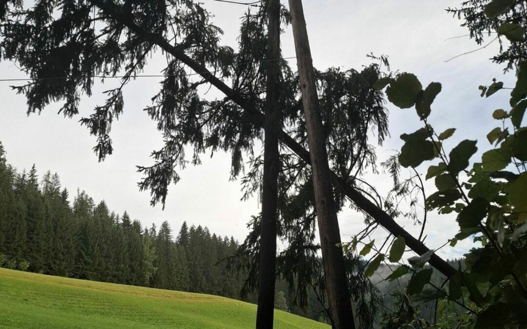 T07 Unwettereinsatz Baum über Straße