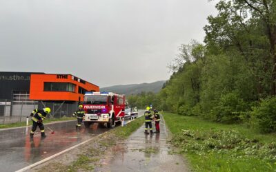 T01 Baum über die Straße L118