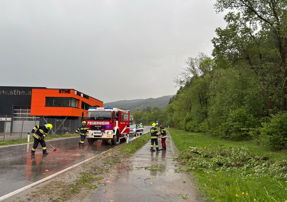 T01 Baum über die Straße L118