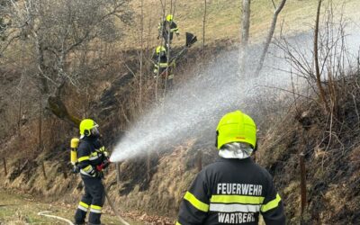 Wiesenbrand im Scheibsgraben