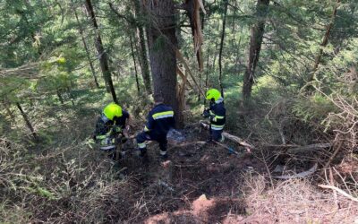 Brandeinsatz für die Feuerwehr Wartberg im Scheibsgraben
